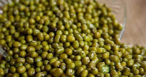 绿豆长虫了还能吃吗