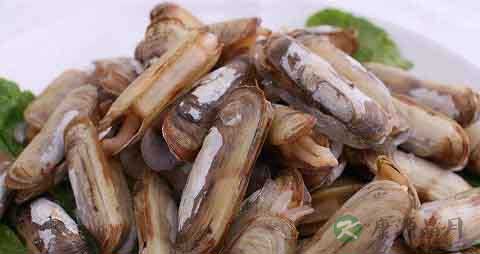 蛏子的吃法_哪些人不能吃蛏子