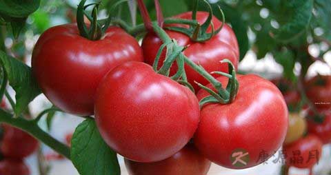 西红柿的吃法_哪些人不能吃西红柿
