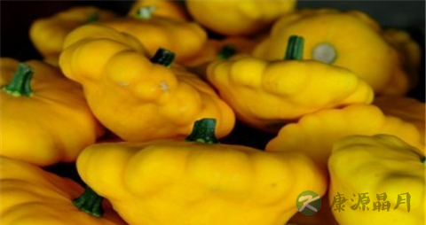 飞碟瓜的吃法_哪些人不能吃飞碟瓜