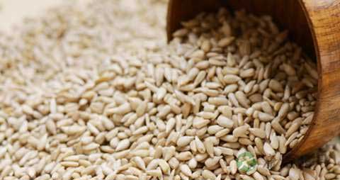 西瓜子仁的营养价值_吃西瓜子仁的好处