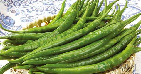 青尖椒的营养价值_吃青尖椒的好处