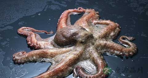 真蛸的营养价值_吃真蛸的好处 真蛸的营养价值_吃真蛸的好处