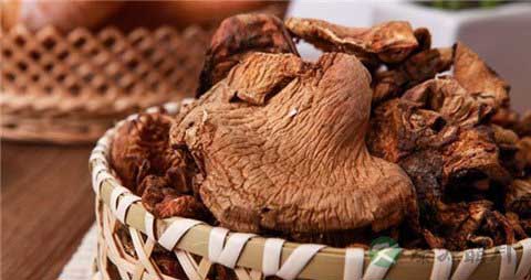 元蘑的营养价值_吃元蘑的好处