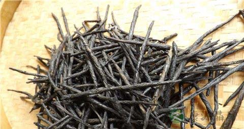 苦丁茶哪里产的最好