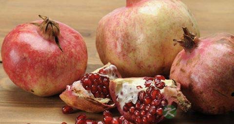 马齿苋能治拉肚子吗