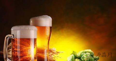 用啤酒能收缩毛孔吗 用啤酒能收缩毛孔吗