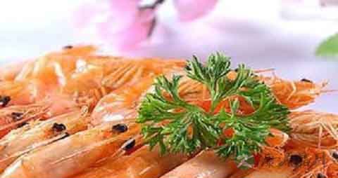 长毛对虾的吃法_哪些人不能吃长毛对虾