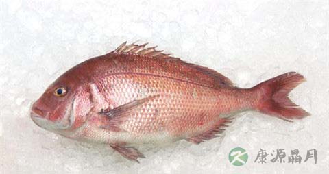 鲷鱼的营养价值_吃鲷鱼的好处