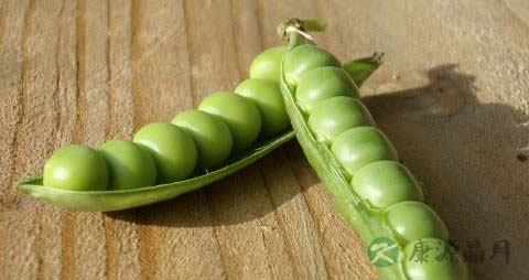 炒荷兰豆要焯水吗 炒荷兰豆要焯水吗