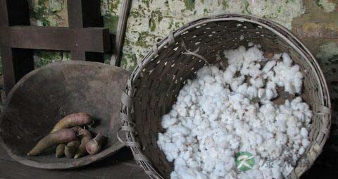 长期服用山药粉有副作用吗