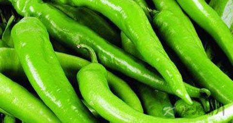 吃青椒会上火吗