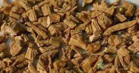 党参的营养价值_吃党参的好处