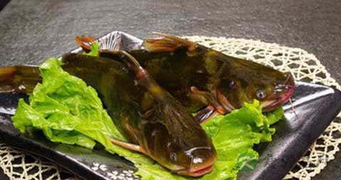 黄颡鱼的营养价值_吃黄颡鱼的好处 黄颡鱼的营养价值_吃黄颡鱼的好处