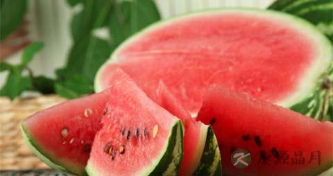 喝啤酒能吃西瓜吗 喝啤酒能吃西瓜吗