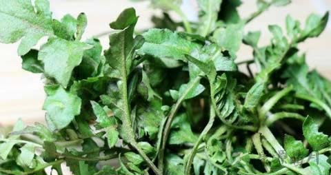 地米菜的营养价值_吃地米菜的好处 地米菜的营养价值_吃地米菜的好处