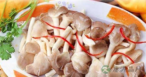 秀珍菇的营养价值_吃秀珍菇的好处