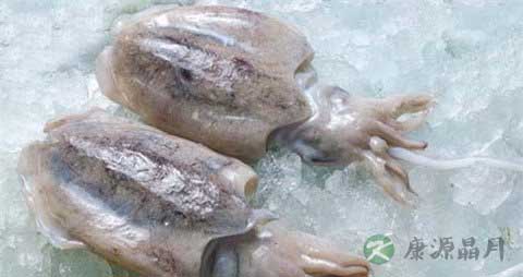墨鱼的营养价值_吃墨鱼的好处