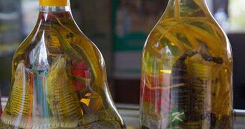 五步蛇泡酒配方 五步蛇泡酒配方