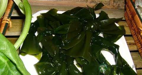 江白菜的吃法_哪些人不能吃江白菜