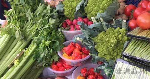 紫薯发芽了还能吃吗 紫薯发芽了还能吃吗