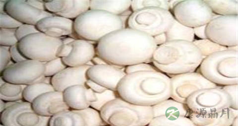 白蘑菇的营养价值_吃白蘑菇的好处
