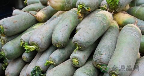 青萝卜的营养价值_吃青萝卜的好处
