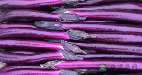 长茄子的营养价值_吃长茄子的好处 长茄子的营养价值_吃长茄子的好处