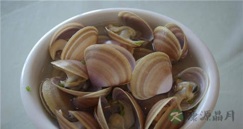 西施舌的吃法_哪些人不能吃西施舌