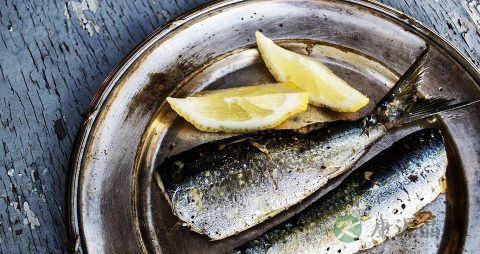 煮鱼汤需要焯水吗 煮鱼汤需要焯水吗