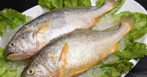 大黄鱼的吃法_哪些人不能吃大黄鱼