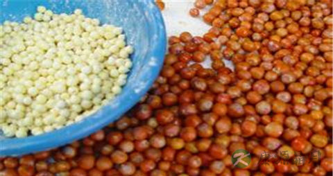 芡实米的营养价值_吃芡实米的好处