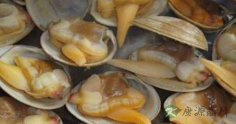 黄蚬的吃法_哪些人不能吃黄蚬