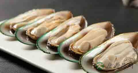 青口贝的营养价值_吃青口贝的好处