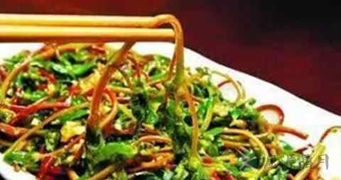 马齿苋开花后能吃吗