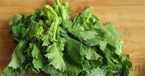 油菜苔的吃法_哪些人不能吃油菜苔 油菜苔的吃法_哪些人不能吃油菜苔