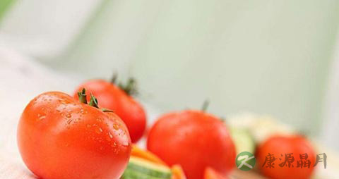 西红柿和什么一起炒