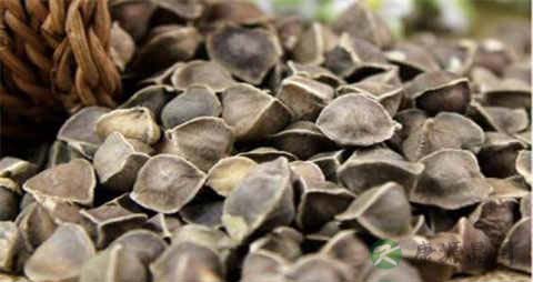 辣木籽的吃法_哪些人不能吃辣木籽