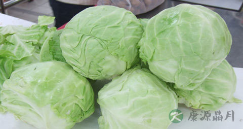 结球甘蓝的吃法_哪些人不能吃结球甘蓝