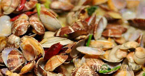 沙蛤蜊的吃法_哪些人不能吃沙蛤蜊