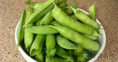 炒荷兰豆要焯水吗 炒荷兰豆要焯水吗