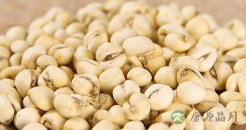 川贝母吃多了有什么副作用