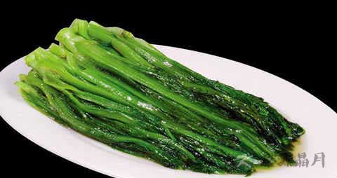 油麦菜的营养价值_吃油麦菜的好处