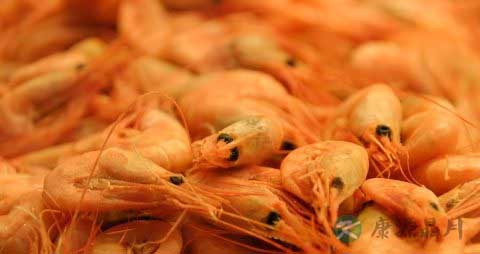 虾和莴笋能一起吃吗