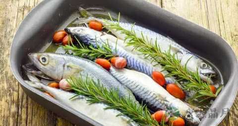 鲱鱼的营养价值_吃鲱鱼的好处