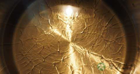 玉米油和葵花籽油哪个好