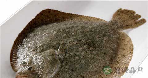多宝鱼的营养价值_吃多宝鱼的好处