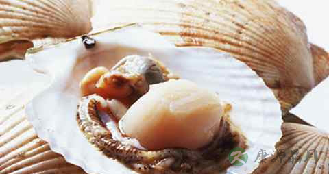 扇贝什么地方不能吃