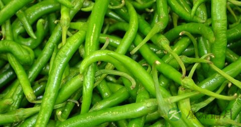 辨别青尖椒辣不辣的妙招