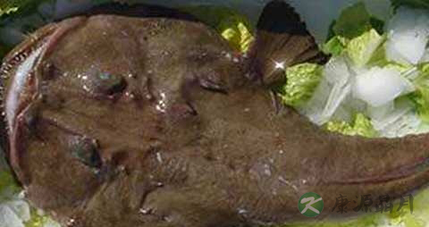 安康鱼的营养价值_吃安康鱼的好处